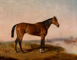 Clifton Anderson Collection