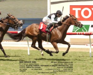 Bee Brave Wining at Del Mar