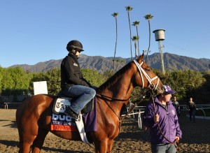 Capo Bastone Santa Anita shot