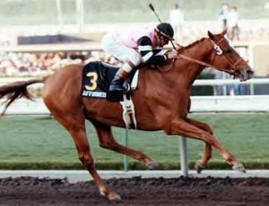 Affirmed-race-horses-4078945-354-270