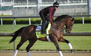 Apr 29, 2015; Louisville, KY, USA; Exercise rider Humberto Gomez works out Kentucky Derby hopeful Firing Line trained by Simon Callaghan at Churchill Downs. Mandatory Credit: Jamie Rhodes-USA TODAY Sports